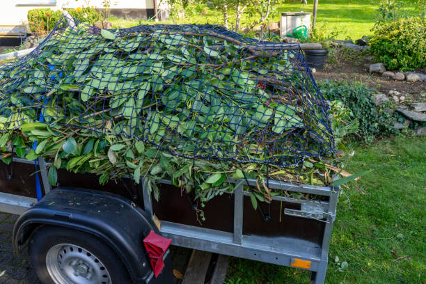 Recycling Services for Junk in Stepping Stone, CO